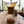 Organic Colombian Excelso E/P Washed Arabica Coffee