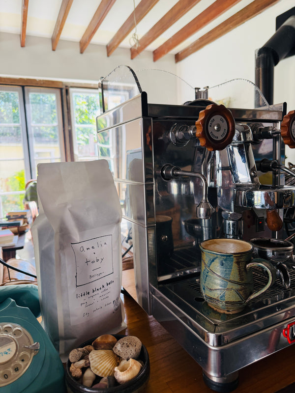 Home Barista Coaching (ZOOM CALL)