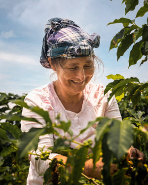 organic coffee subscription, sustainable coffee delivery, best coffee subscription Australia and women-owned coffee brand
