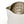 Rhino Pro Milk Pitcher - 360ml/12oz